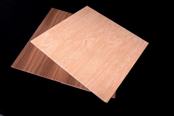 Tejas de acabado modernas del techo del PVC para funcional multi de la