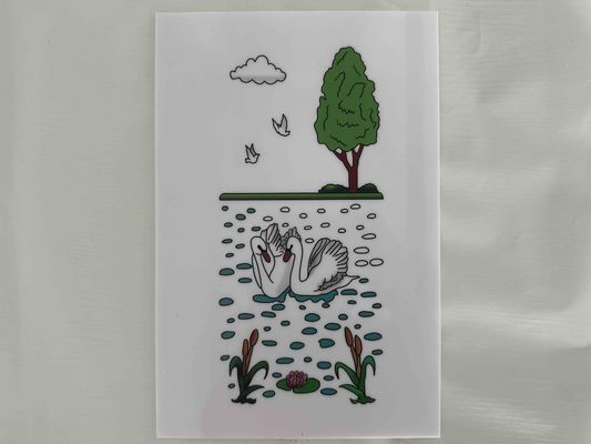 Hojas de poliestireno blanco diseñadas para México con impresión de color Decorada Lámina De Poliestireno, utilizadas en embalaje y aislamiento